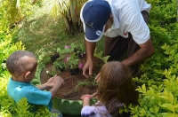 ‘Meu Querido Verde’: Meio Ambiente ‘planta’ flores e hortaliças com alunos de EMEB no Colina