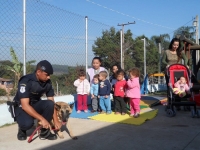 GM realiza Dog Show na EMEB Vereador Durval